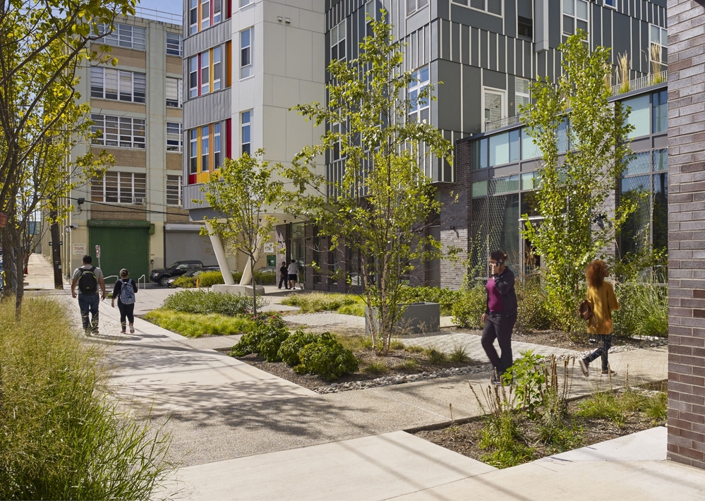 Озеленение и благоустройство входной зоны общественных зданий — Студия Расцветать