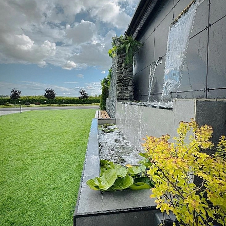 Лилия Габионы